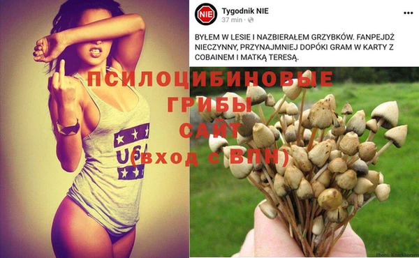 ECSTASY Кинешма