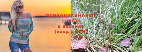 ECSTASY Кинешма
